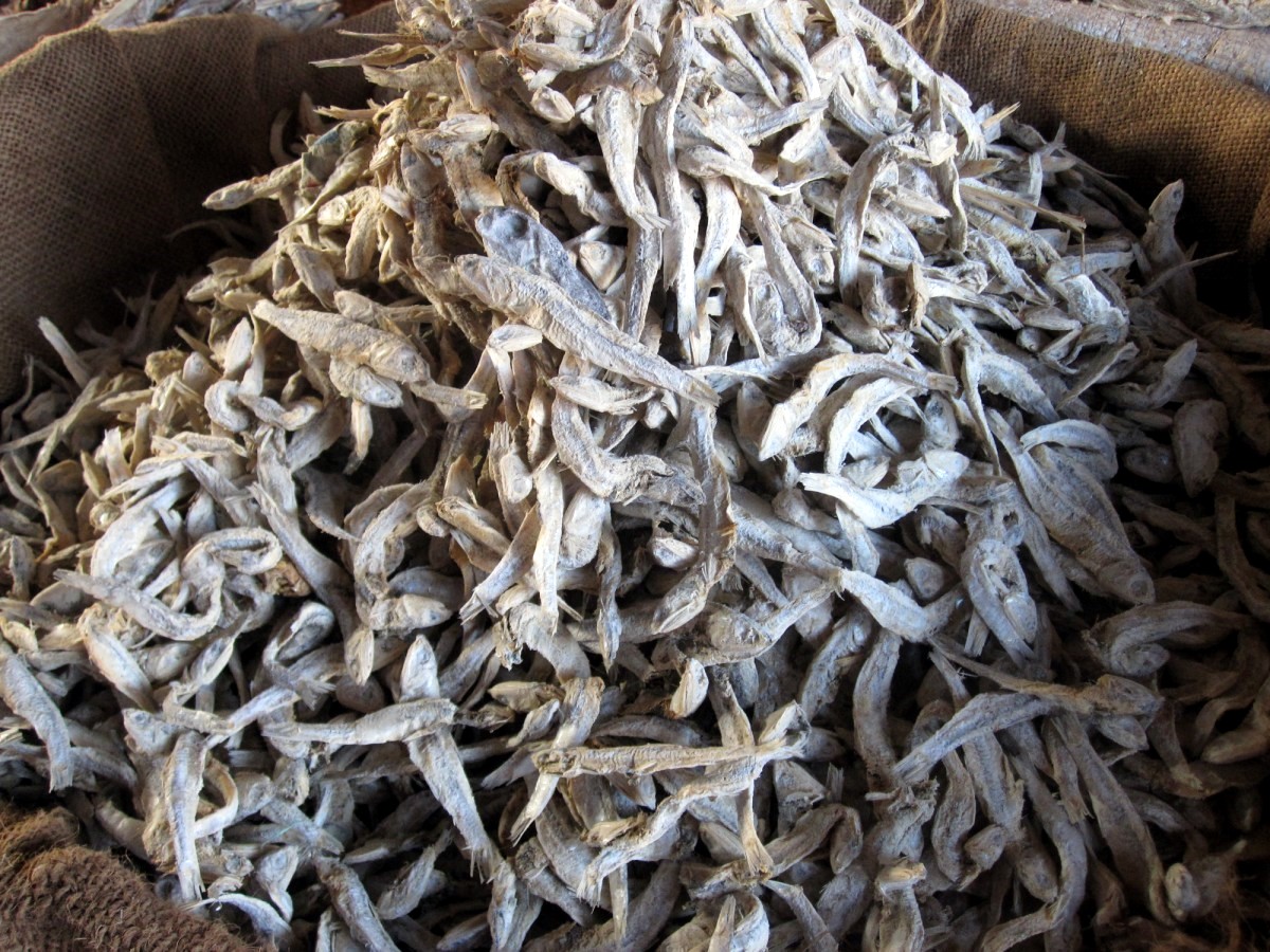 Mangalore Mangalore Mangalore Dry Fish Market